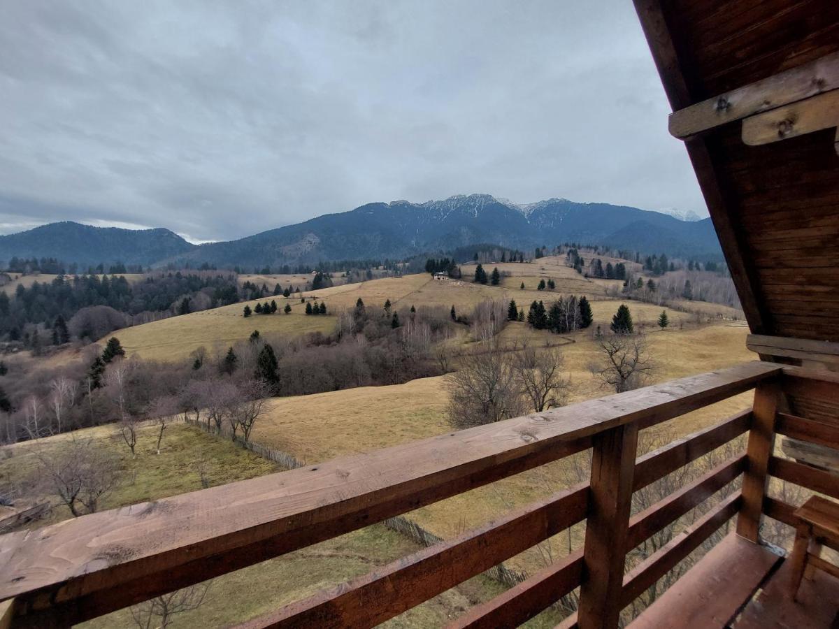 Casa Calea Haiducilor Sohodol (Brasov) Exterior foto