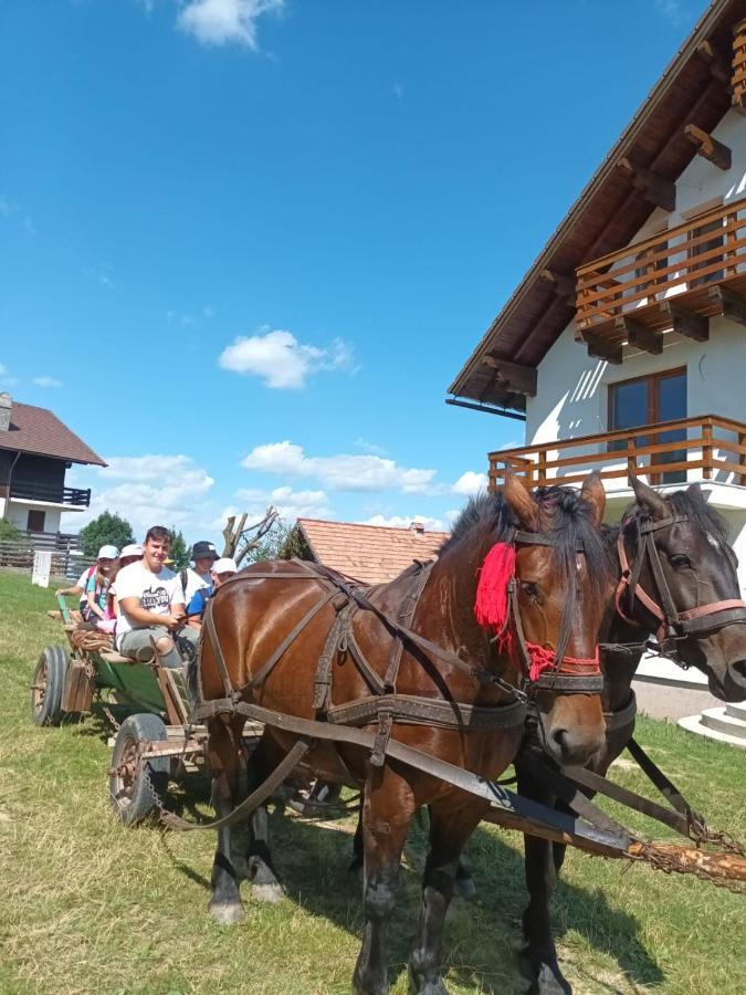 Casa Calea Haiducilor Sohodol (Brasov) Exterior foto